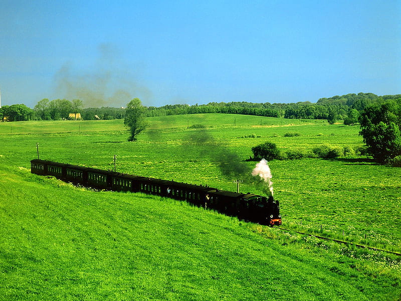 Field Cutter, train, grass, HD wallpaper