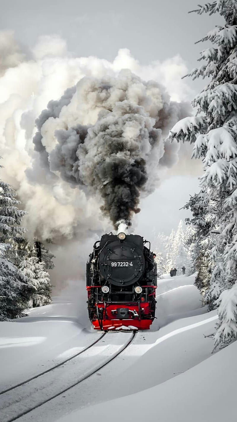 Locomotive, forest, nature, railway, snow, steam, train, trees, trip, winter, HD phone wallpaper