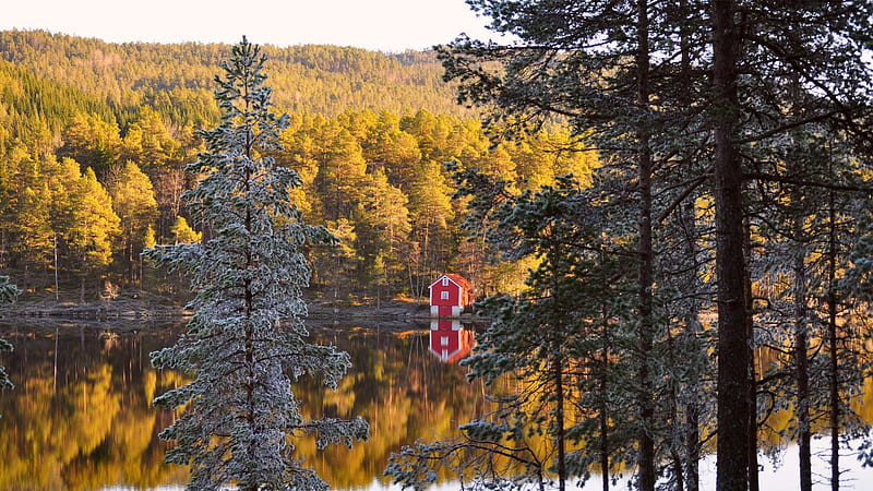 wonderful red cabin on a norwegian lake, red, forest, autumn, cabin, lake, HD wallpaper