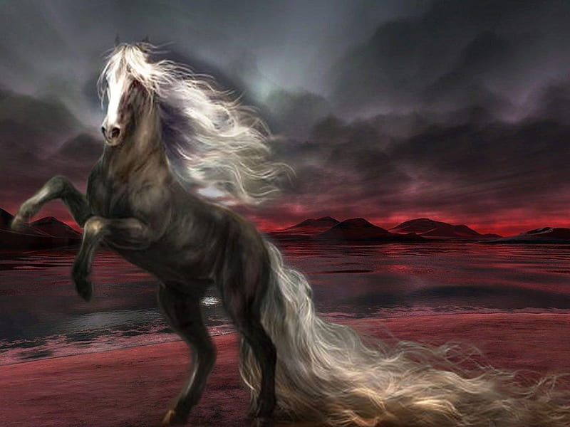 WILD FIRE, red, beach, mountains, ocean, horse, sky, animal, HD wallpaper