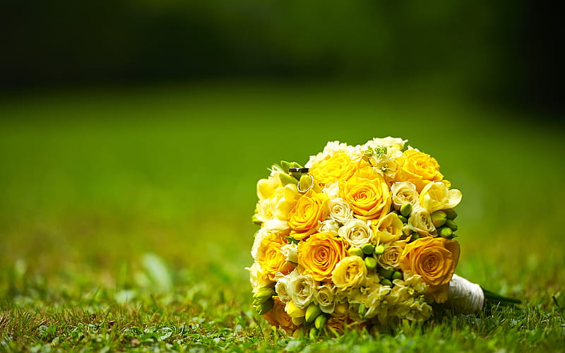 yellow wedding bouquet, flowers on the grass, yellow roses wedding rings, bridal bouquet, wedding concepts, gold rings, HD wallpaper