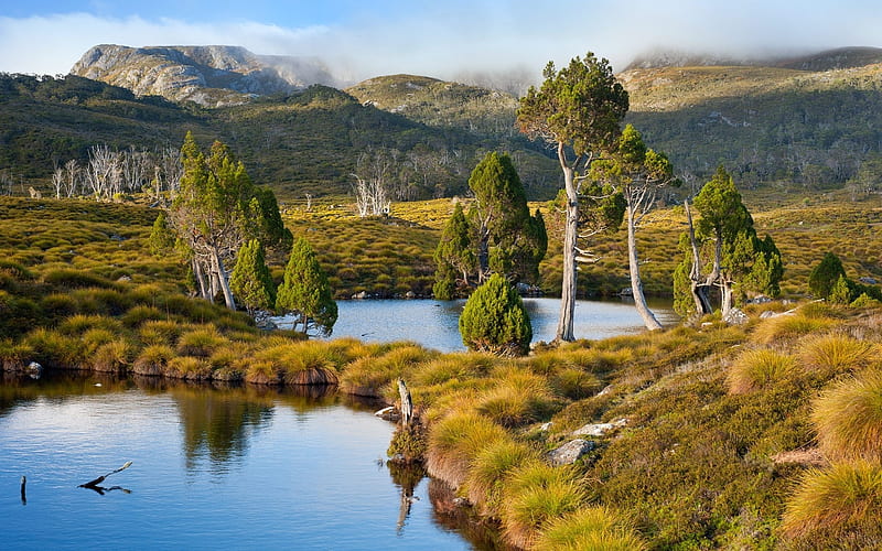 australia out back, lakes, shrubs, grass, hills, tasmania, trees, HD wallpaper