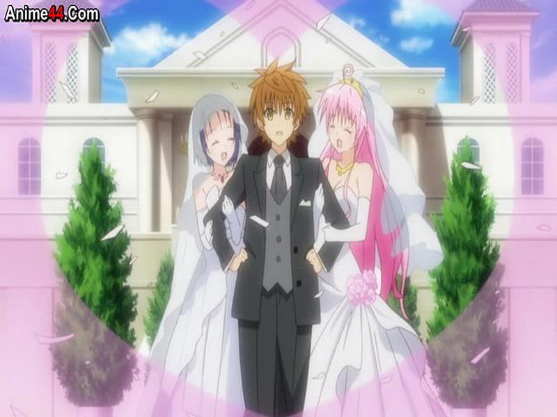 1920x1080px, 1080P free download Getting married, cute, cool, an