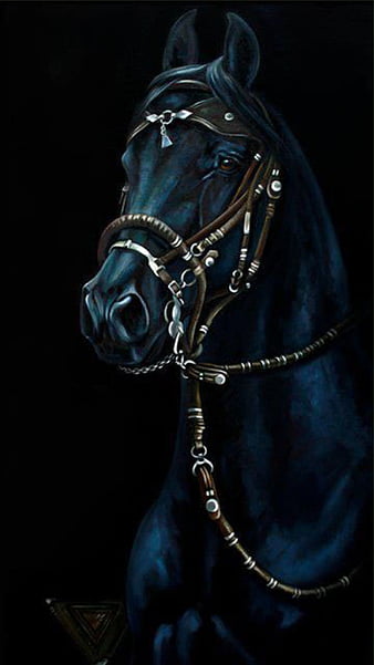 Gorgeous portrait of black horse 2K wallpaper download