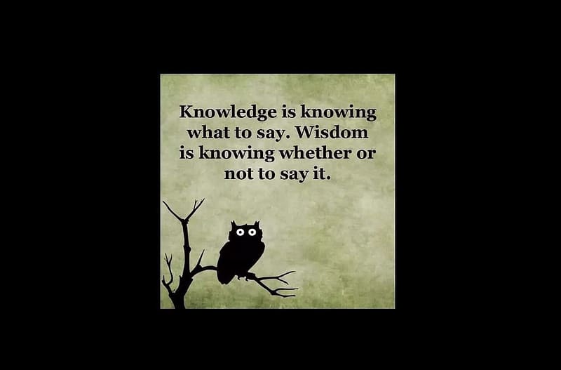 knowledge and wisdom, kindness, harassment, picking, advice, HD wallpaper