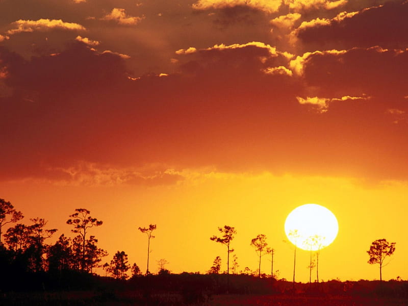 Setting Sun over the Swampland, florida, everglades national park, sun, setting, swampland, HD wallpaper