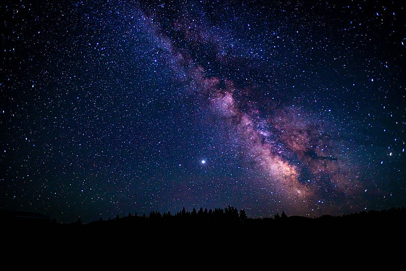 nebula, night, starry sky, trees, stars, HD wallpaper