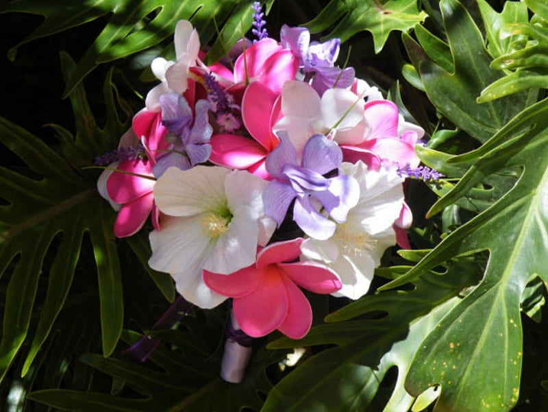 Beautiful wedding Bouquet, leavrs, bouquet, rose, plumeria, flowers