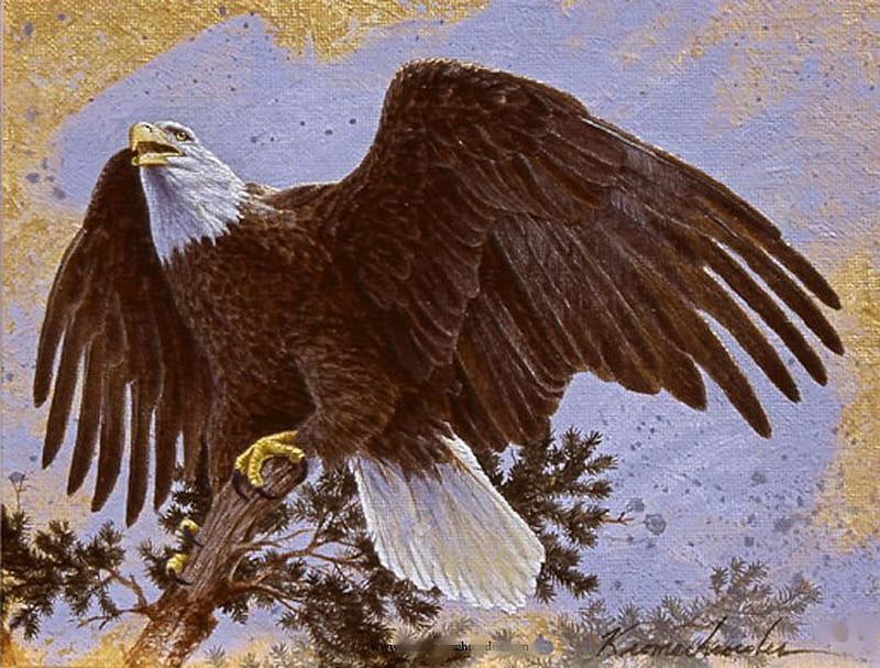 American Eagle, painting, raptor, bald eagle, artwork, HD wallpaper