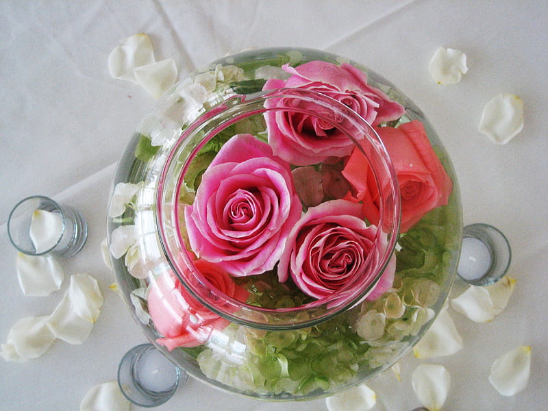 Love in a bowl, glass, white candles, rosebowl, petals, five roses, HD wallpaper