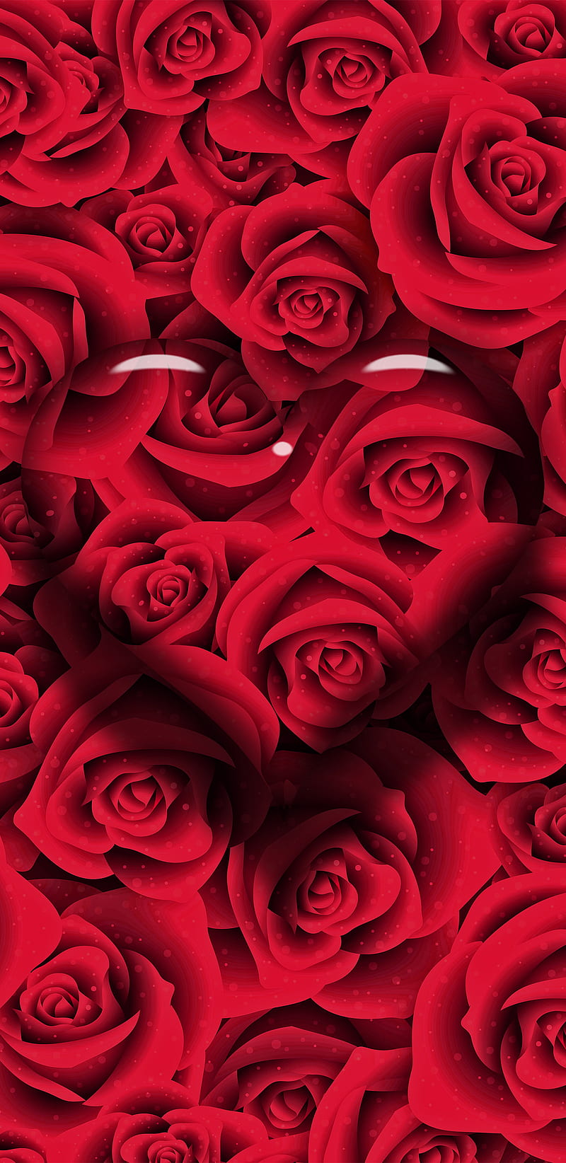 Heart Rose Dew, valentine, love, romance, romantic, flower, fantasy, passion, amor, HD phone wallpaper