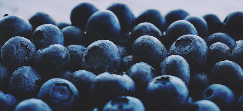 blueberries, berries, macro, fresh, ripe, fruits, HD wallpaper