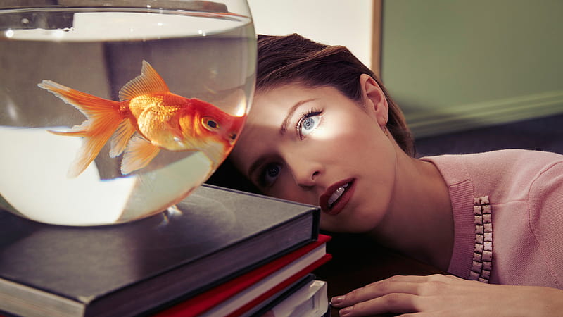 Anna Kendrick Is Seeing A Golden Fish In A Glass Bowl Anna Kendrick, HD wallpaper