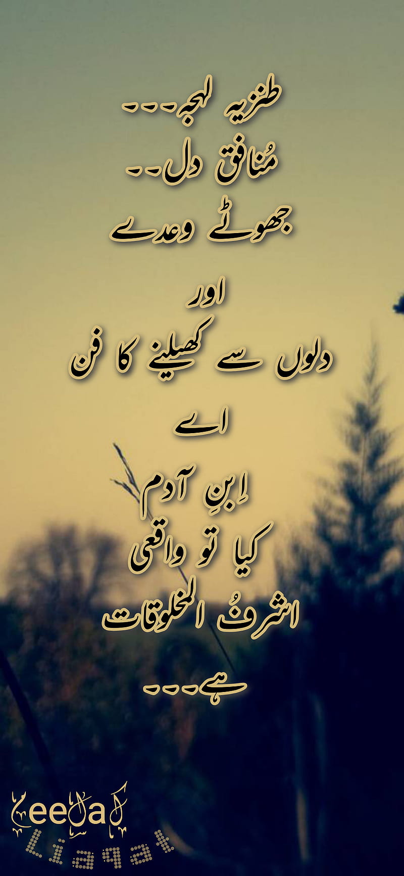 Quote, saying, urdu poetry, HD phone wallpaper