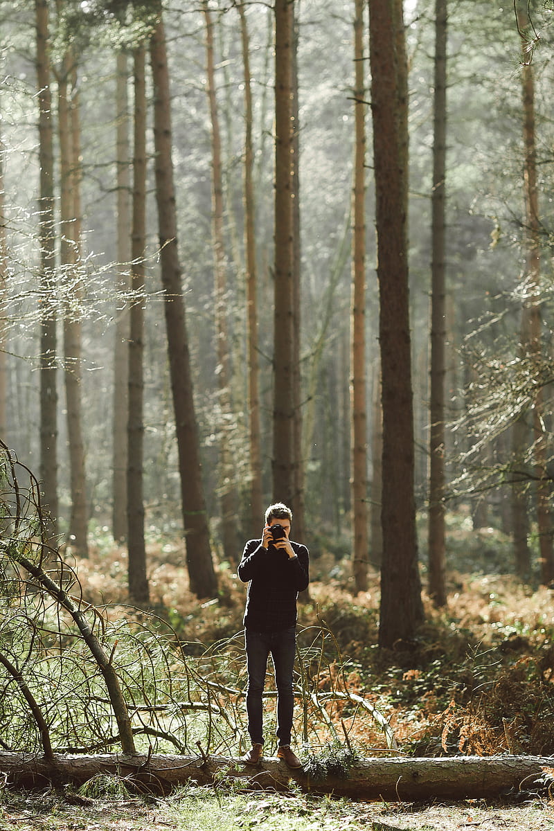graphy of man pointing a camera standing on a tree on the ground, HD phone wallpaper