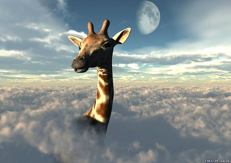Giraffe In Heaven, abstract, sky, clouds, animal, giraffe in the heavens, fantasy, moon, full moon, funny, giraffe, HD wallpaper