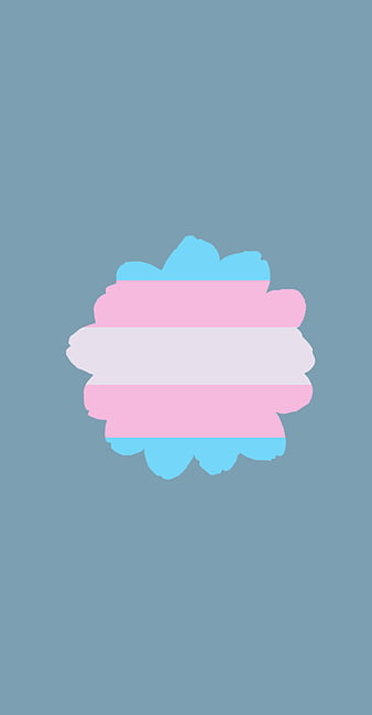 Transgender Pride, gender, lgbtq, trans, HD phone wallpaper