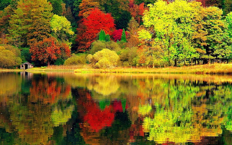 Riot Of Colors, fall, autumn, house, colors, nature, reflection, trees ...