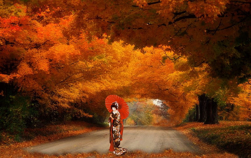Geisha, forest, autumn, road, lady, HD wallpaper