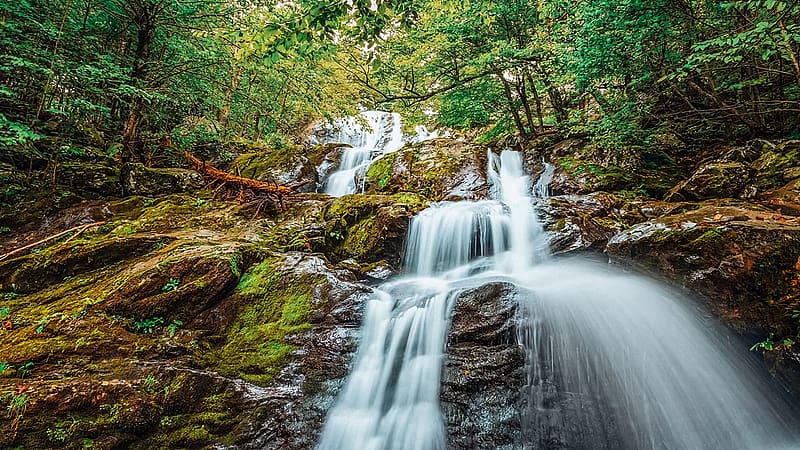 Waterfall at Shenandoah National Park, Virginia, river, trees, cascades, forest, rocks, usa, stones, HD wallpaper