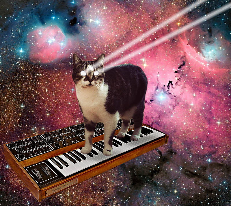 1080P free download | Synthesizer Kitty, attack, cat, eyes, laser beam, space, HD wallpaper | Peakpx
