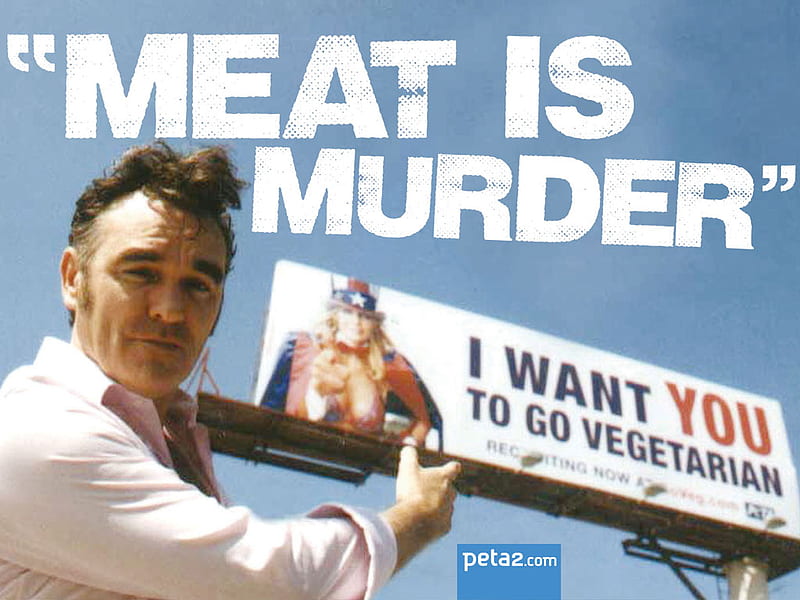 Morrissey, vegetarian, peta, animal rights, HD wallpaper | Peakpx