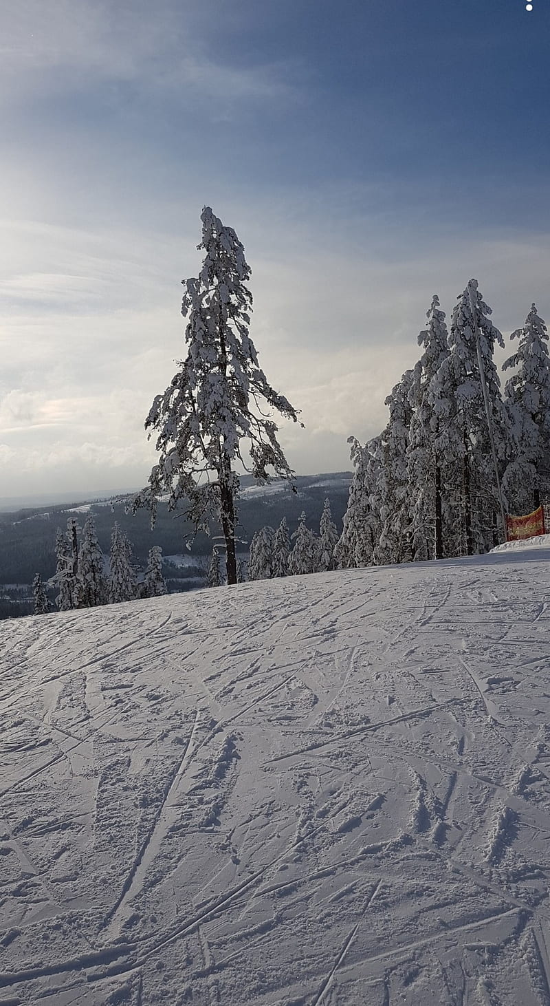 Slopes sweden, mountain, mountains, skiing, snow, sweden, HD phone wallpaper