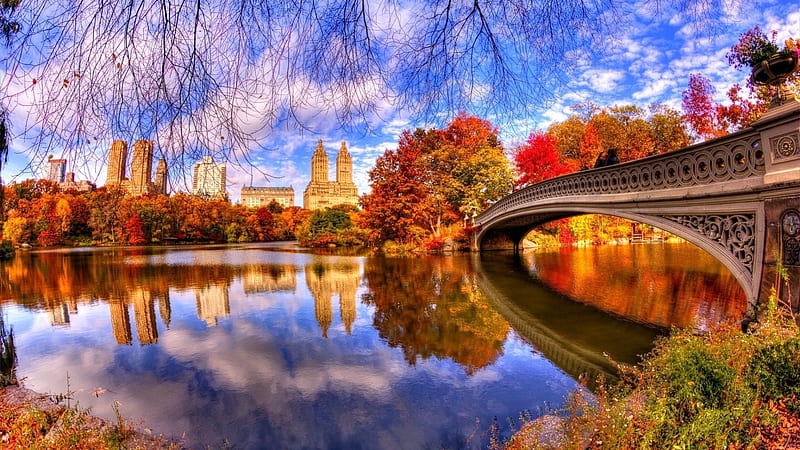 Central Park, city, new york, water, bridge, sky, reflection, HD wallpaper