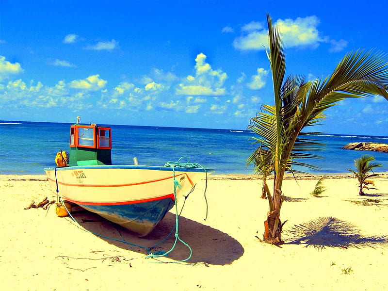 Beach at Guadeloupe, boat, ocean, palm, island, sea, HD wallpaper