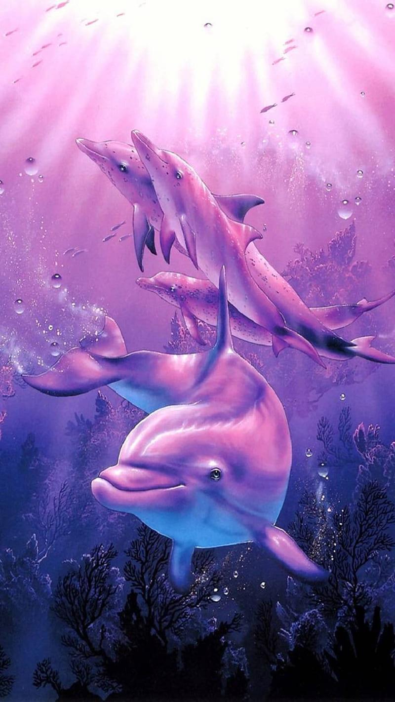 Dolphins, pink, HD phone wallpaper