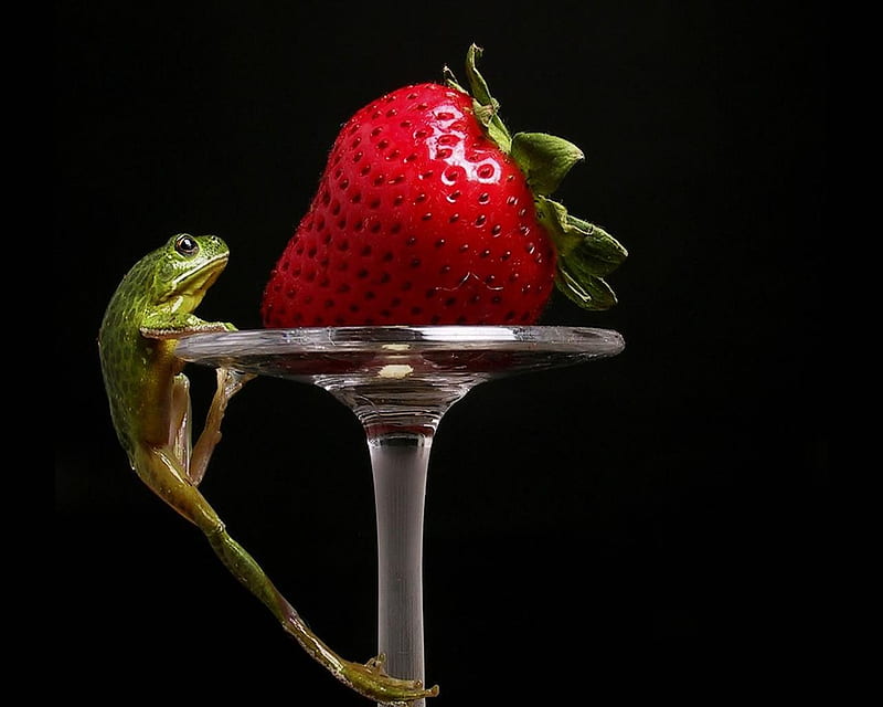 Lunch time, glass, fruit, frog, strawberry, HD wallpaper