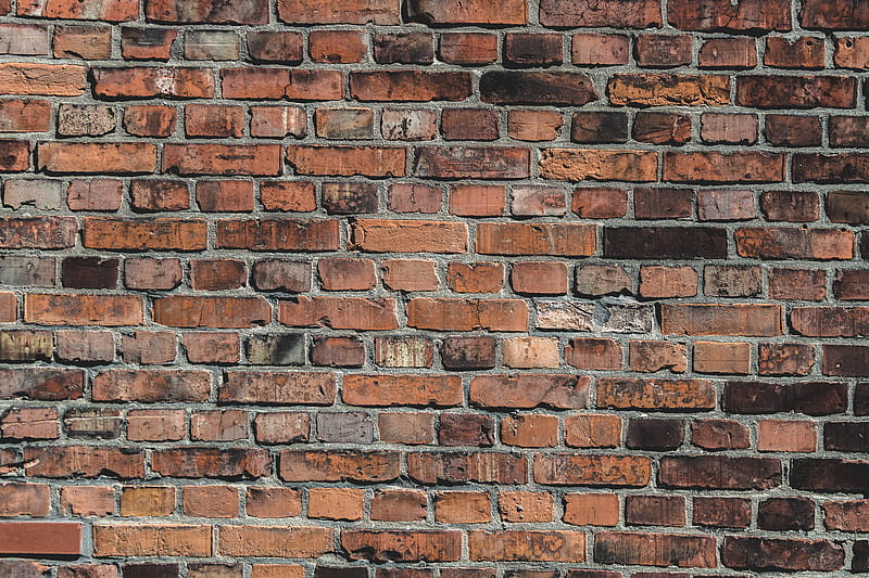bricks, wall, brick wall, surface, old, HD wallpaper