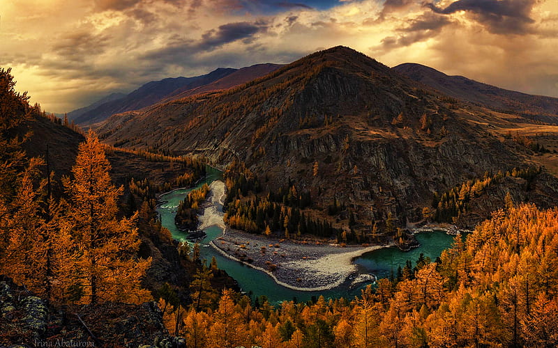 Altai autumn, forest, river, mountains, Russia, Asia, beautiful nature, HD wallpaper