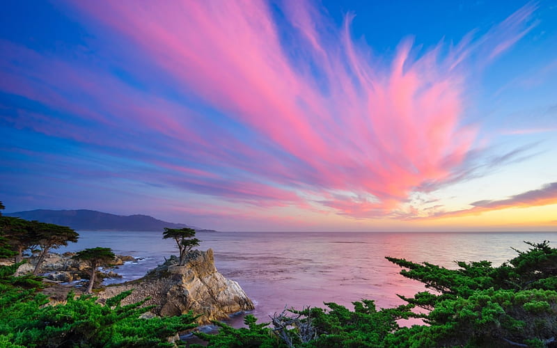 A Lone Cypress, cypress, pebblich, nature, sunset, trees, clouds, landscape, HD wallpaper