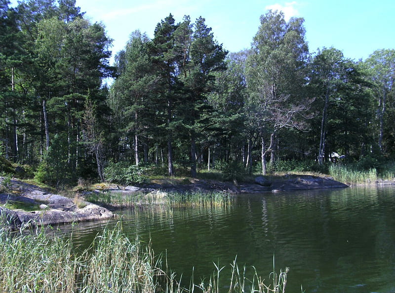 Swedish nature, Sweden, Lake, Summer, Forrest, HD wallpaper