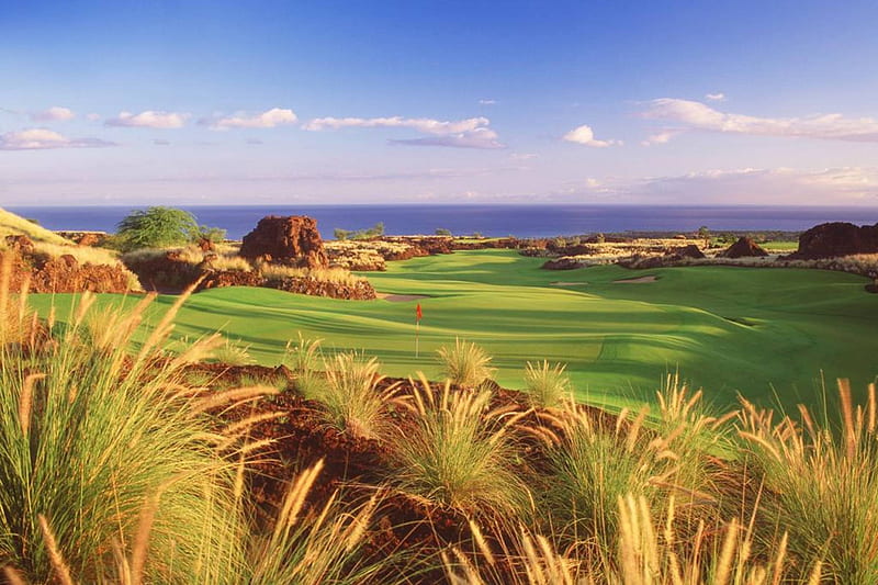 Beautiful Ocean Front Golf Course Kauai Hawaii Island, polynesia, grass, bonito, sea, beach, sand, grasses, green, polynesian, exotic, islands, ocean, hawaii, lush, pacific, course, paradise, golf, front, gardens, island, tropical, kauai, HD wallpaper