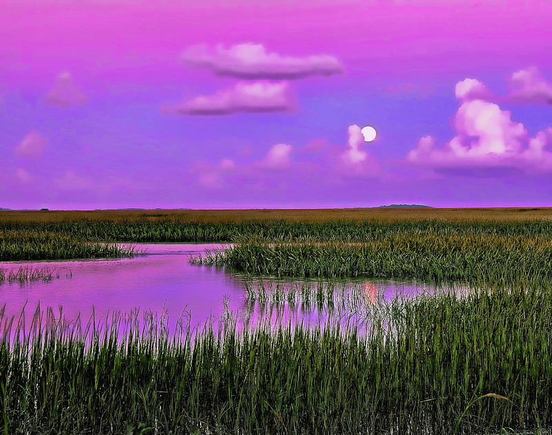 Purple Pond, sun, grass, background, sundown, nice, gold, multicolor, bright, flowers, paisage, dawn, brightness, gloom, murkiness, sunrays, purple, moonlight, violet, beautiful, moon, leaves, green, blue, night, lakes, maroon, mirk, pond, paisagem, dark, nature, darkest, orange, high definition, dusk, clouds, cenario, murk, evening, obscurity, panoramic, paysage, cena, golden, lagoons, panorama, cool, beaches, awesome, sunshine, bay, landscape, gray, laguna, grasslands, amazing, multi-coloured, colors, leaf, cloudiness, sfternoon, plants, colours, natural, HD wallpaper