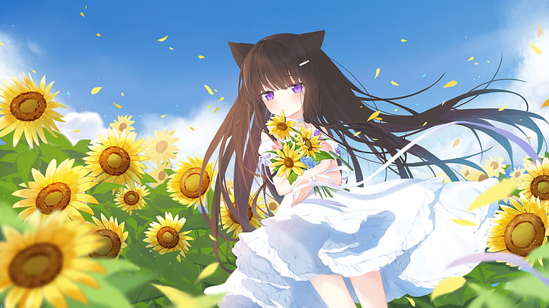 Anime, Original, Animal Ears, Brown Hair, Girl, Long Hair, Purple Eyes, Sunflower, White Dress, Yellow Flower, HD wallpaper