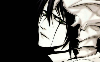 Ulquiorra Cifer, anime, splitting, Bleach, Kurosaki Ichigo, Espada -  wallpaper #63018 (2429x1326px) on