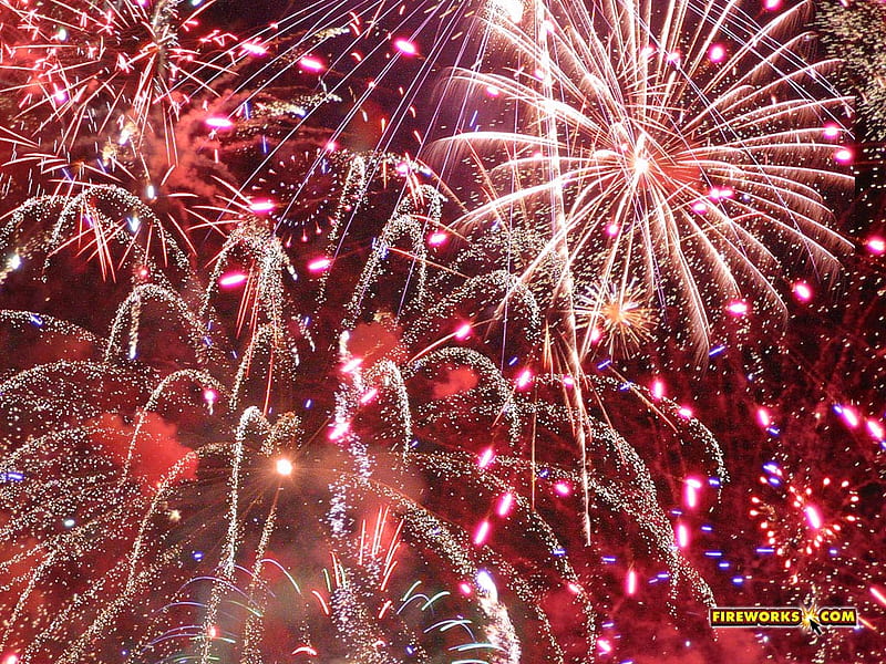 Fireworks, celebration, sky, display, night, HD wallpaper