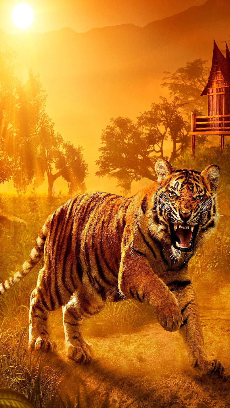 attacking tiger 1080p