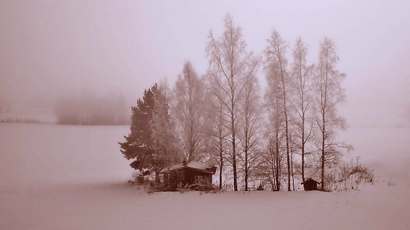 out of reach, nature, house, trees, winter, HD wallpaper