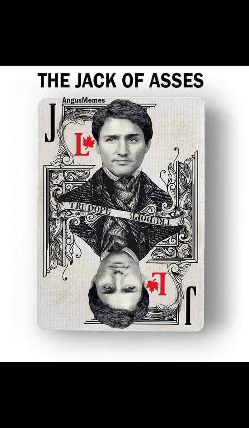 Justin Trudeau dummy, canada, justin trudeau, loser, ontario, pm, HD phone wallpaper