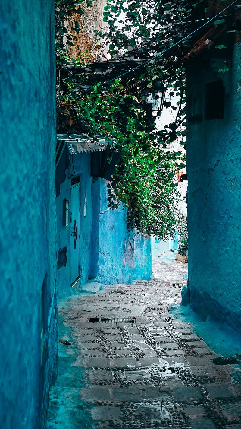 Blue village, blue walls, green leaves, narrow, street, walls, HD phone wallpaper