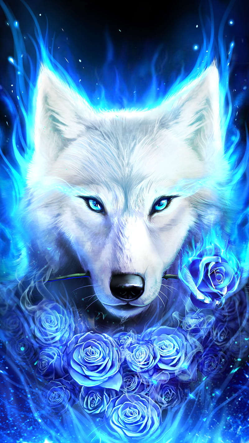 White wolf with rose, blue, love, HD phone wallpaper