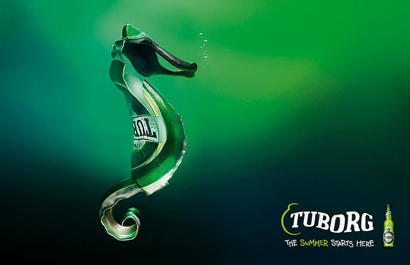 Tuborg seahorse, party, commercial, beer, drinks, HD wallpaper | Peakpx