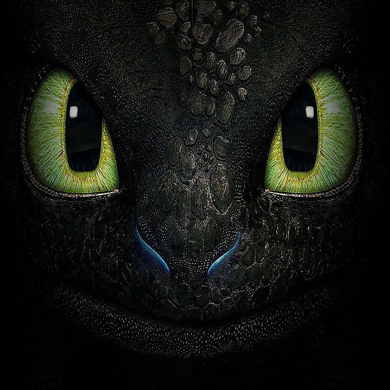 Toothless, black dragon, clan, dragon, how to train your dragon, HD ...