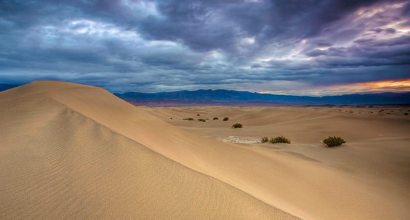 Desert Sunset, colorful, desert, view, colors, bonito, sunset, sky ...