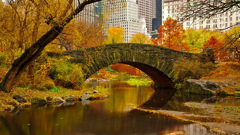 Autumn in Central park, fall, autumn, bonito, park, trees, foliage, city, Central park, bridge, river, reflection, HD wallpaper