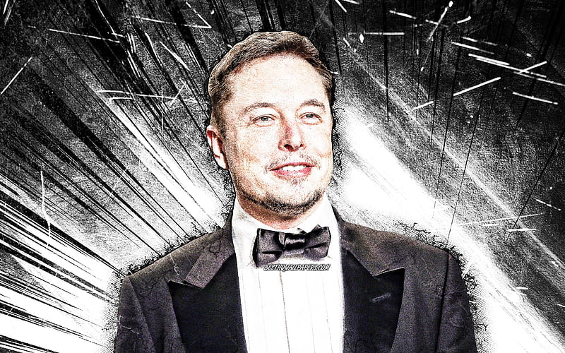 Elon Musk, grunge art, american engineers, american celebrity, white  abstract rays, HD wallpaper | Peakpx